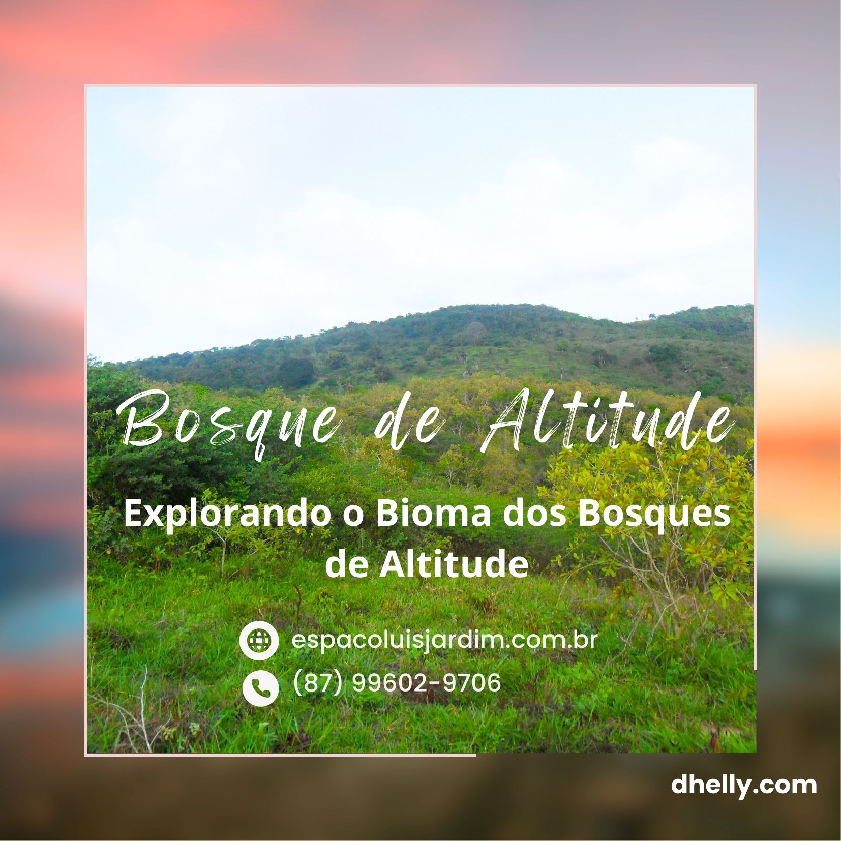 Bosque de altitude no Nordeste brasileiro.