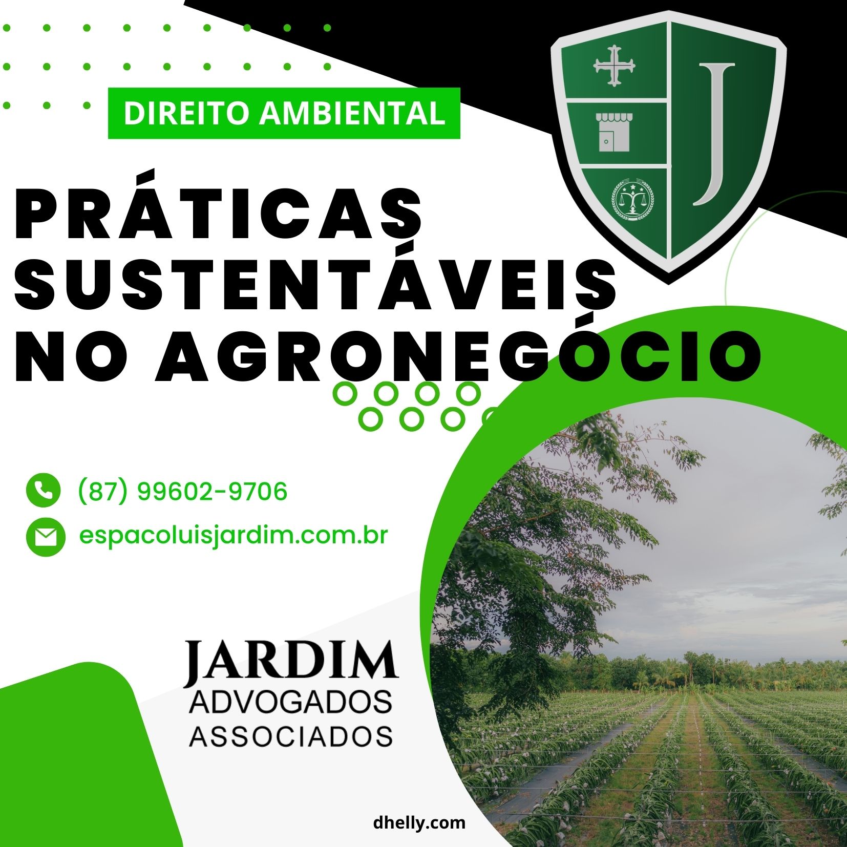 Plantação sustentável com práticas responsáveis de preservação ambiental.